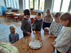 większy obrazek nr 81