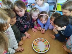 większy obrazek nr 99