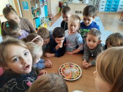 większy obrazek nr 101