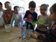 większy obrazek nr 1