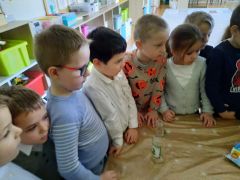 większy obrazek nr 8