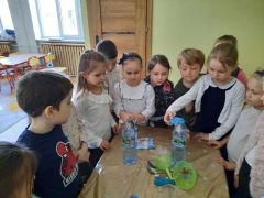 większy obrazek nr 9