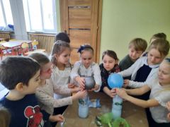 większy obrazek nr 11