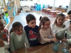 większy obrazek nr 14