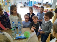 większy obrazek nr 7