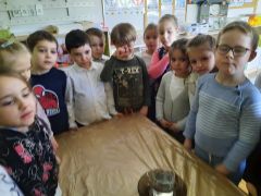 większy obrazek nr 10