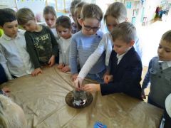 większy obrazek nr 12