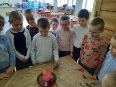 większy obrazek nr 27