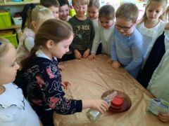 większy obrazek nr 28