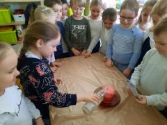 większy obrazek nr 29