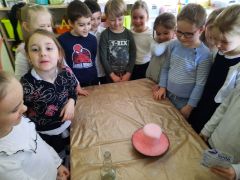 większy obrazek nr 34