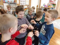 większy obrazek nr 18