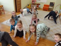 większy obrazek nr 21