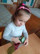 większy obrazek nr 14