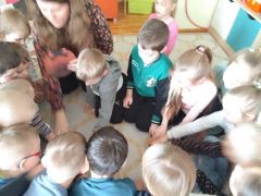 większy obrazek nr 29