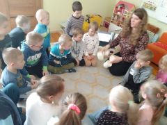 większy obrazek nr 31