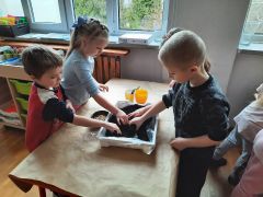 większy obrazek nr 8