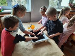 większy obrazek nr 9