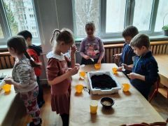 większy obrazek nr 10