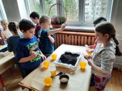 większy obrazek nr 11