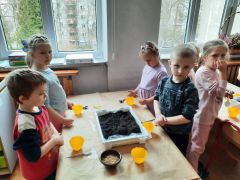 większy obrazek nr 13