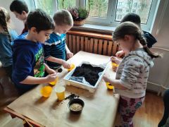 większy obrazek nr 17