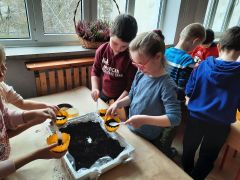 większy obrazek nr 21