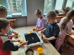 większy obrazek nr 23