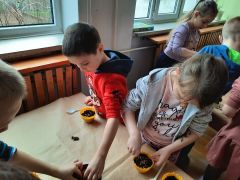 większy obrazek nr 29