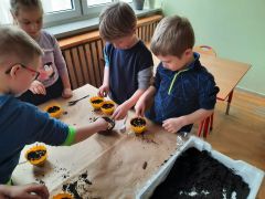 większy obrazek nr 31