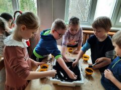 większy obrazek nr 33