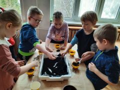 większy obrazek nr 34