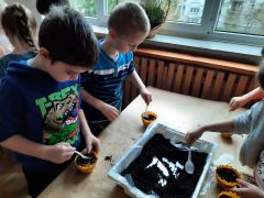 większy obrazek nr 35