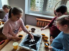 większy obrazek nr 36