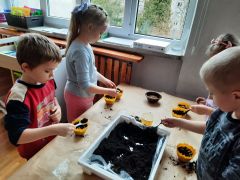 większy obrazek nr 38