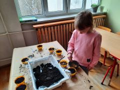 większy obrazek nr 40