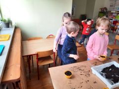 większy obrazek nr 43