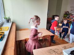 większy obrazek nr 47