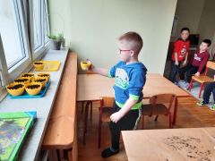 większy obrazek nr 48