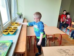 większy obrazek nr 49