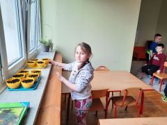 większy obrazek nr 50