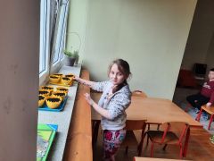 większy obrazek nr 51