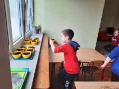 większy obrazek nr 53