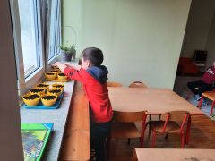 większy obrazek nr 54