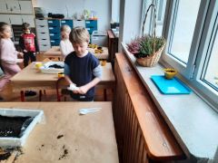 większy obrazek nr 55