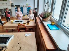 większy obrazek nr 56