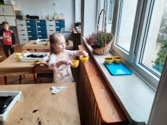 większy obrazek nr 57