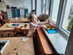 większy obrazek nr 58