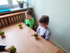 większy obrazek nr 6