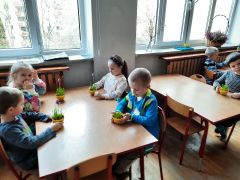 większy obrazek nr 20